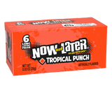 Now & Later Tropical Punch 26g  6-pack